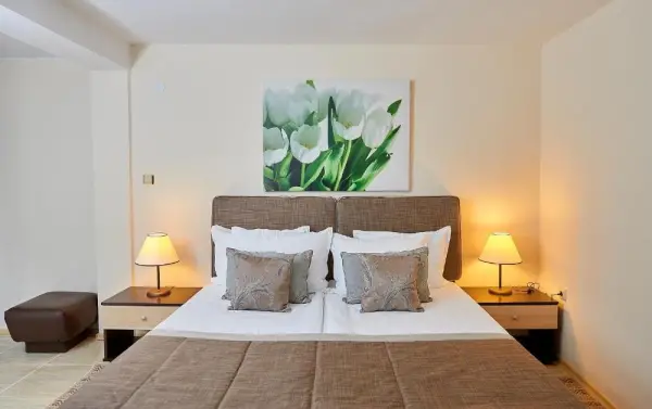Hotel Venus 9